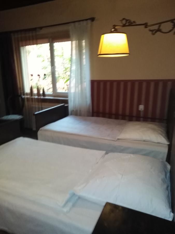Отели типа «постель и завтрак» Zajazd pod Różą Зелёна-Гура-37